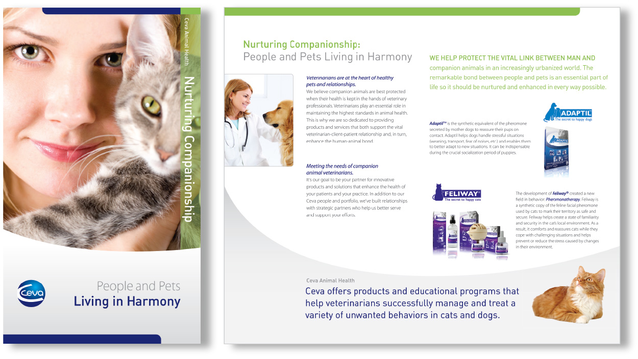 Ceva-cat-brochure@2x-80
