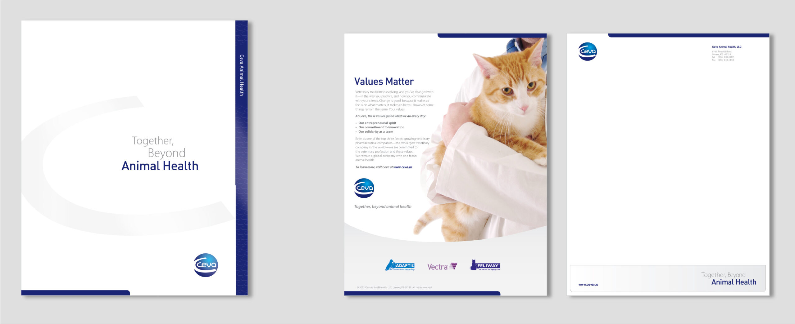 Ceva-folder-collateral@2x-80