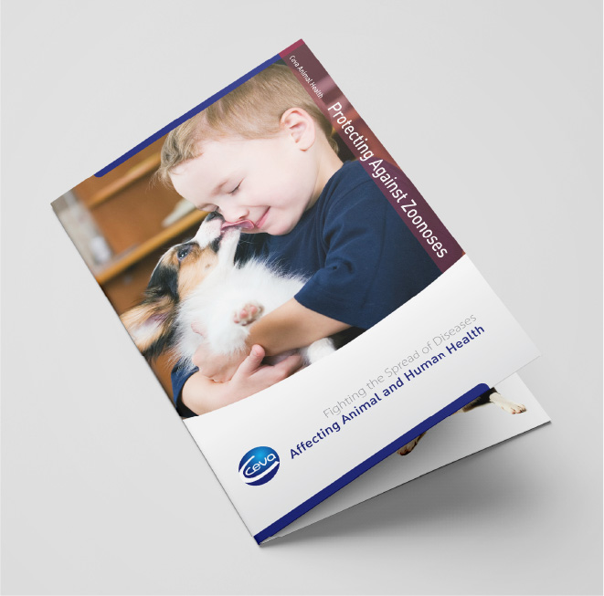 ceva-brochure-mockup@2x-80