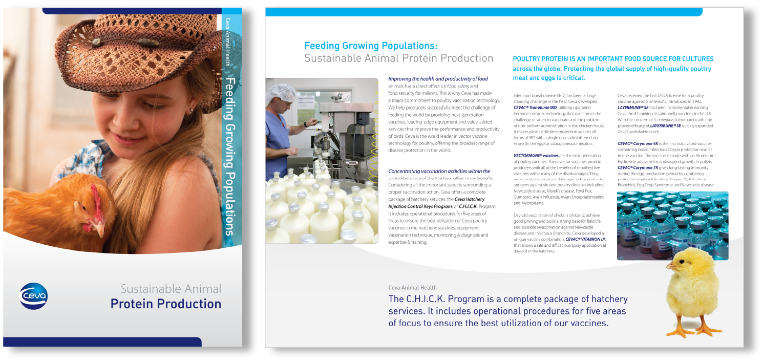 ceva-chicken-brochure@2x-80